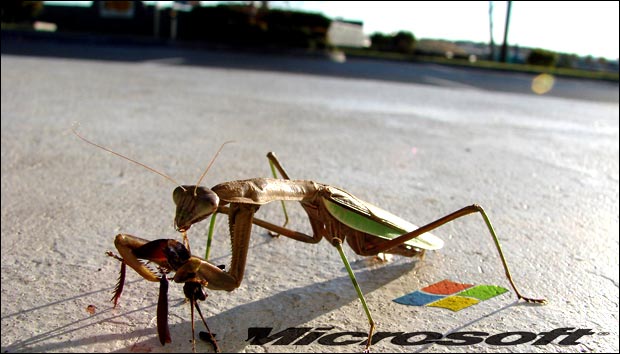 Microsoft VS Google