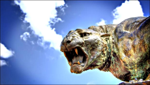 Tiens, un tigre sur Facebook Tiens, un tigre sur Facebook