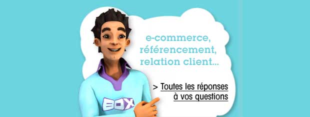 referencement box ecommerce referencement box ecommerce
