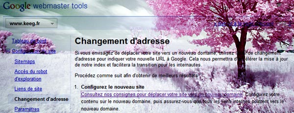 google-changement-adresse