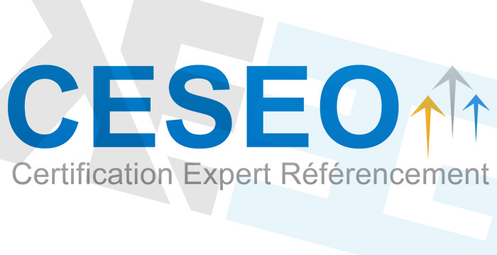 Keeg expert SEO